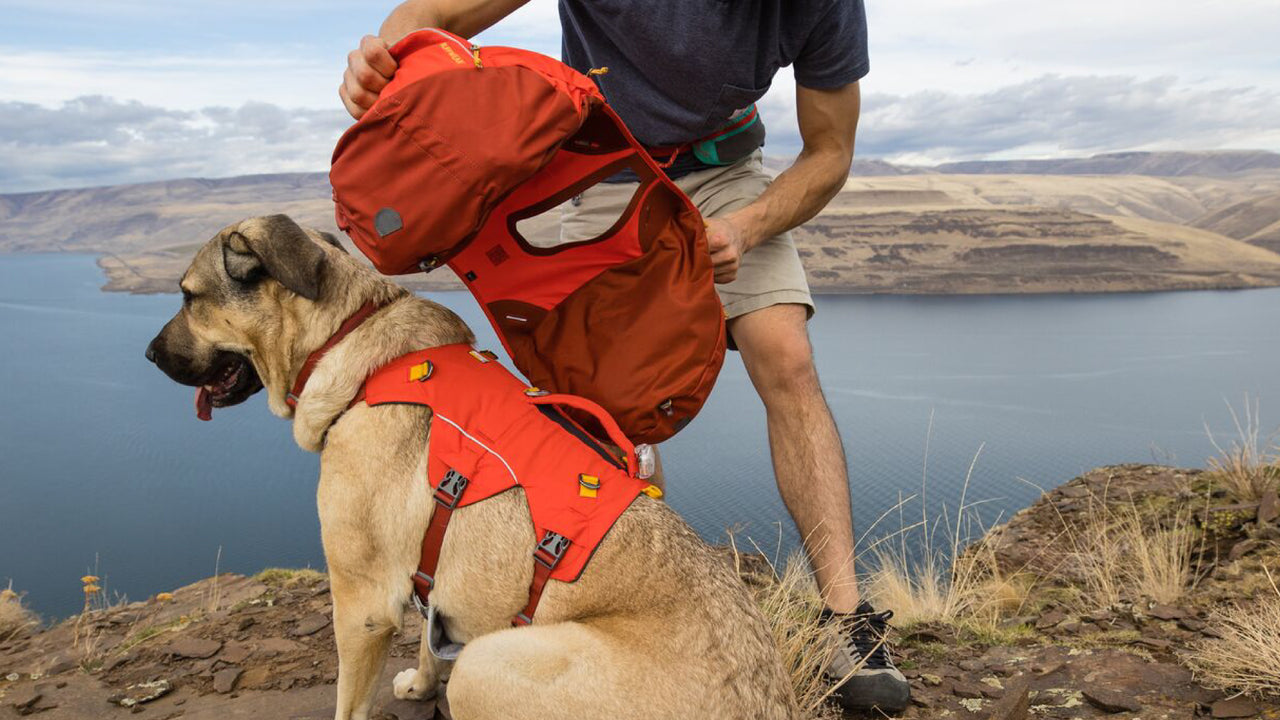 Removable Saddlebags