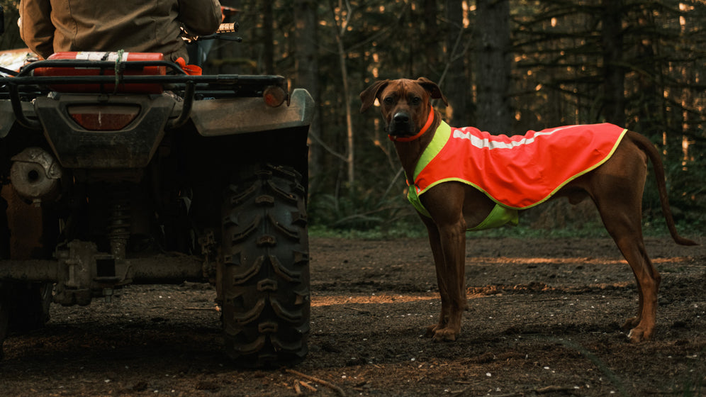 About: The Lumenglow™ Vest Video Thumbnail