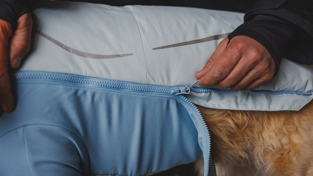 How to Fit: Ruffwear Jackets Video Thumbnail