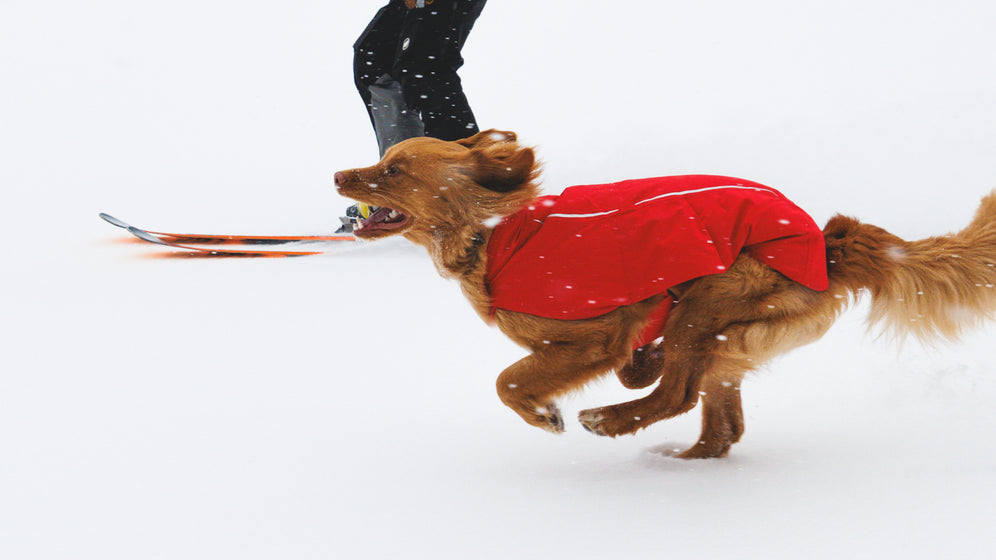 About the Powder Hound™ Vest Video Thumbnail