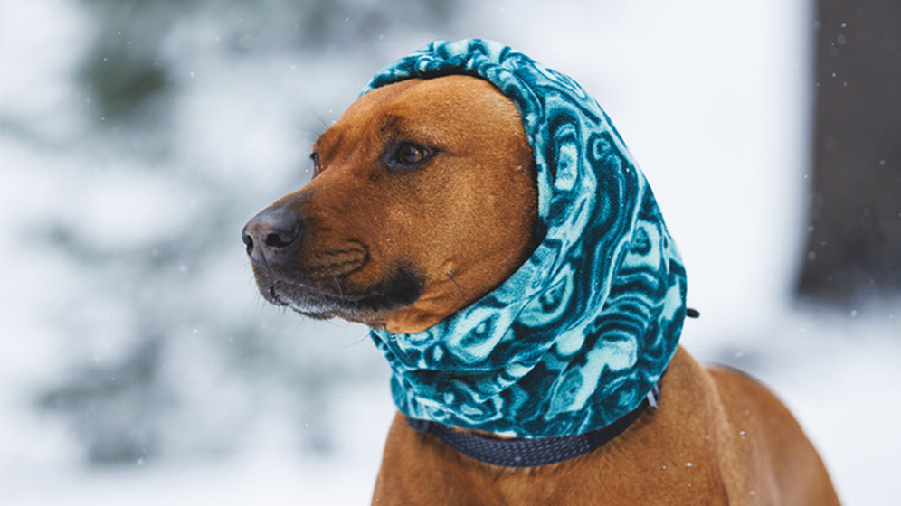 About the Mt. Hoodie™ Neck Gaiter Video Thumbnail