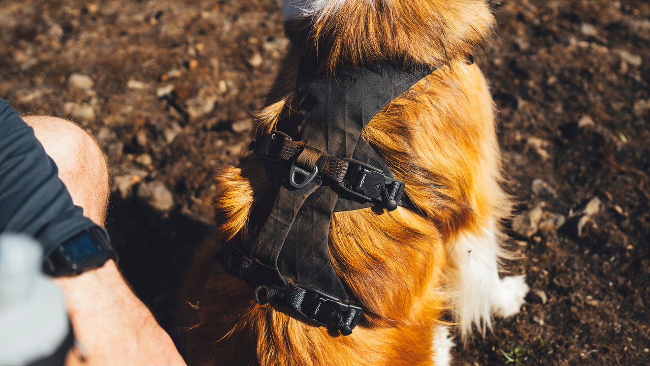 X-Pac® Shell Fabric