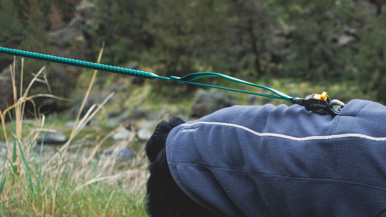 Stretch Webbing