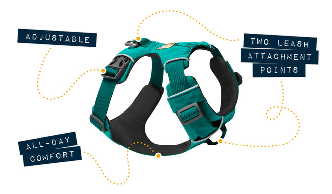 Front range harness with arrows to key features.