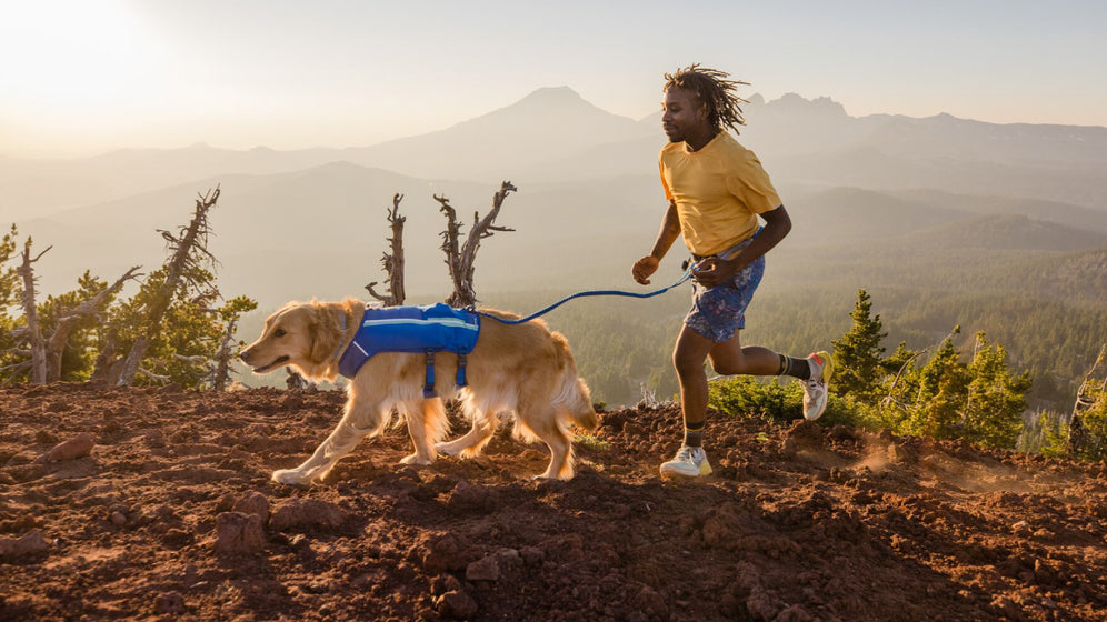 About the Trail Runner™ Running Belt Video Thumbnail
