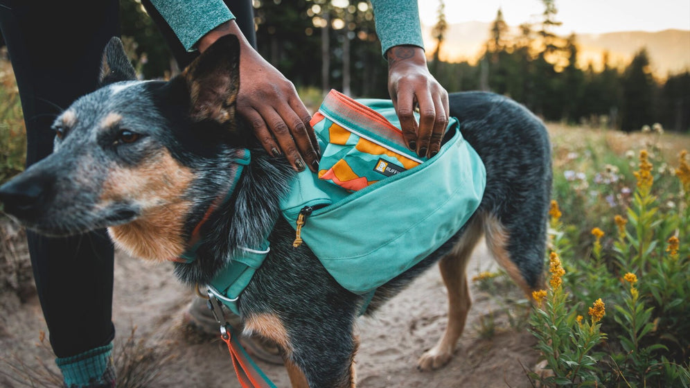 About: The Front Range™ Day Pack Video Thumbnail