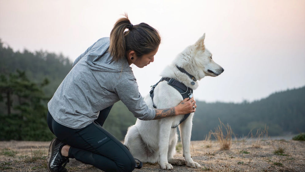 About: The Front Range® Harness Video Thumbnail