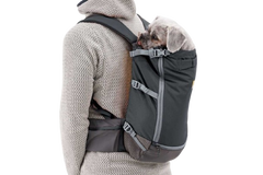 Basalt Gray