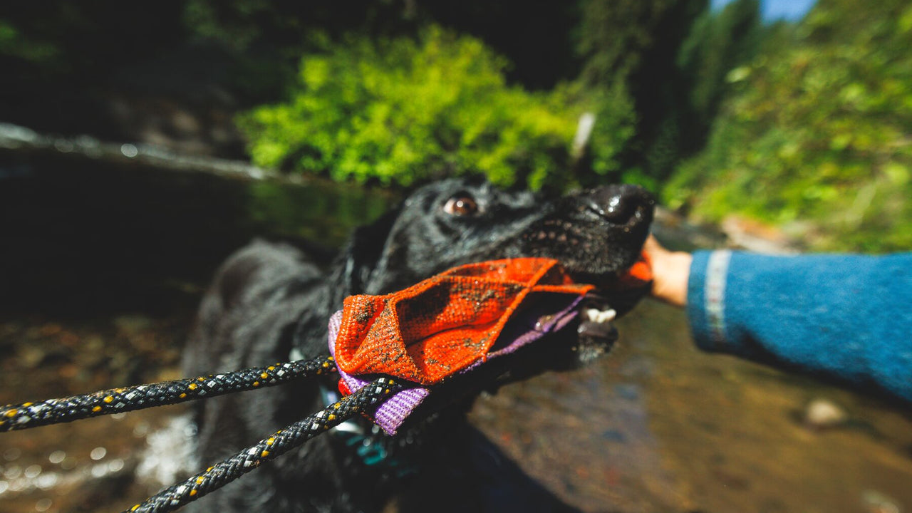 Engaging Tug & Toss