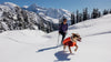 Dogs running with humans through snow and desert wearing different dog jackets with innovative insulation.