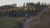 Woman hikes with dog along alpine trail and waterfall, man hikes with german shepherd along forest trail.