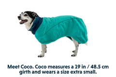 Aurora Teal