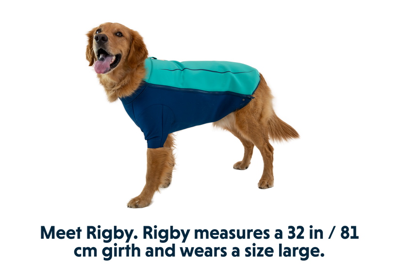 Aurora Teal