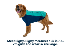 Aurora Teal