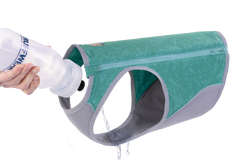 Aurora Teal