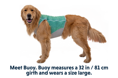 Aurora Teal