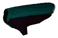 Aurora Teal
