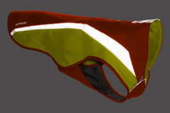 Blaze Orange