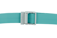 Aurora Teal