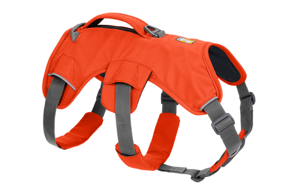 WebMaster Blaze Orange (850)