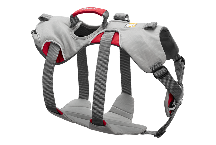 Doubleback Harness in Cloudburst Gray