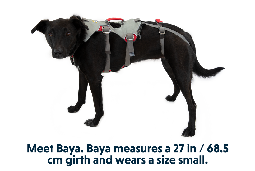 Doubleback Harness in Cloudburst Gray