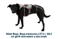 Doubleback Harness in Cloudburst Gray