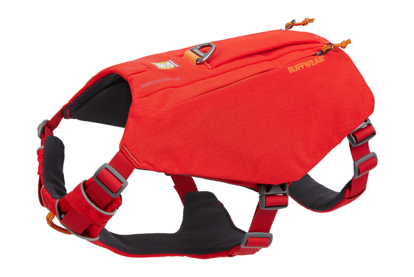 Red Sumac