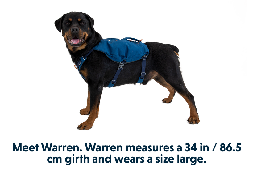 Switchbak Harness in Blue Moon