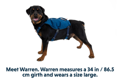 Switchbak Harness in Blue Moon