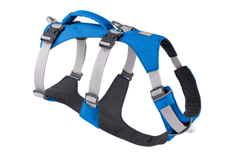 Flagline Harness Blue Dusk