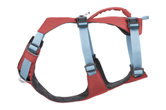 Flagline™ Dog Harness with 