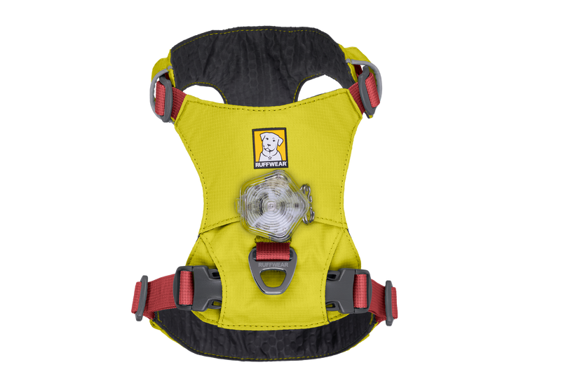 Hi & Light™ Lightweight Dog H