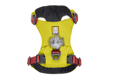 Hi & Light™ Lightweight Dog H