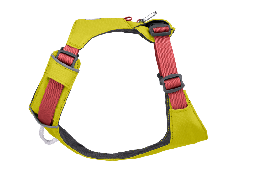 Hi & Light™ Lightweight Dog H