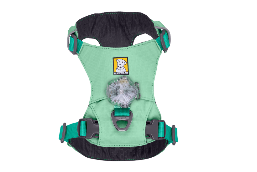 Hi & Light™ Lightweight Dog H
