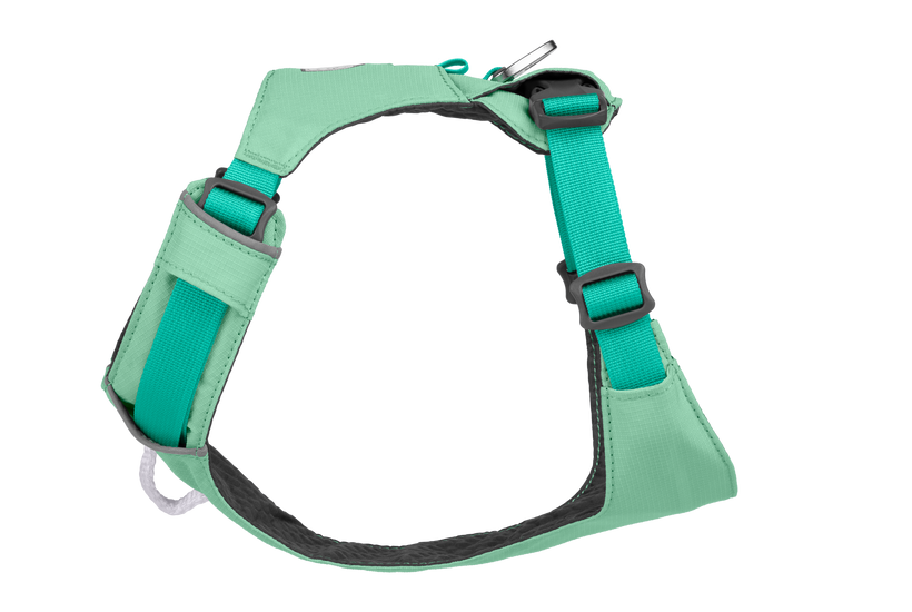 Hi & Light™ Lightweight Dog H