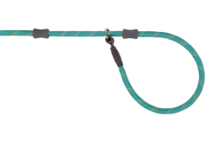 Aurora Teal