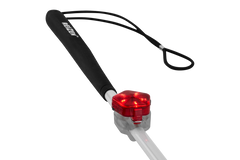Red Currant
