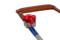 Red Currant