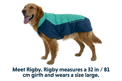 Aurora Teal